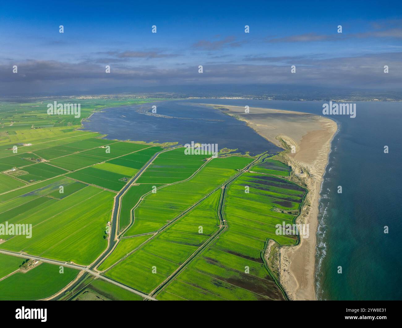 Aus der Vogelperspektive auf die Bucht und den Punkt Fangar und die Reisfelder des Ebro-Deltas, grün an einem Sommermorgen (Baix Ebre, Tarragona, Katalonien, Spanien) Stockfoto