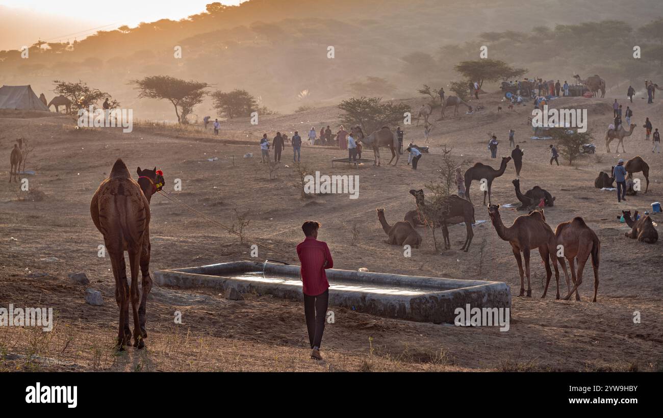 Pushkar Camel Fair Stockfoto