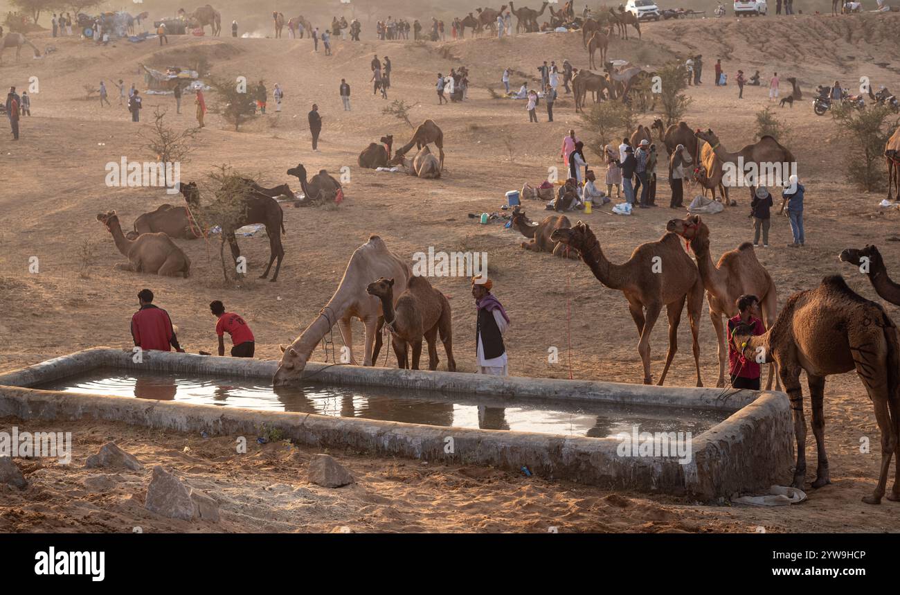 Pushkar Camel Fair Stockfoto