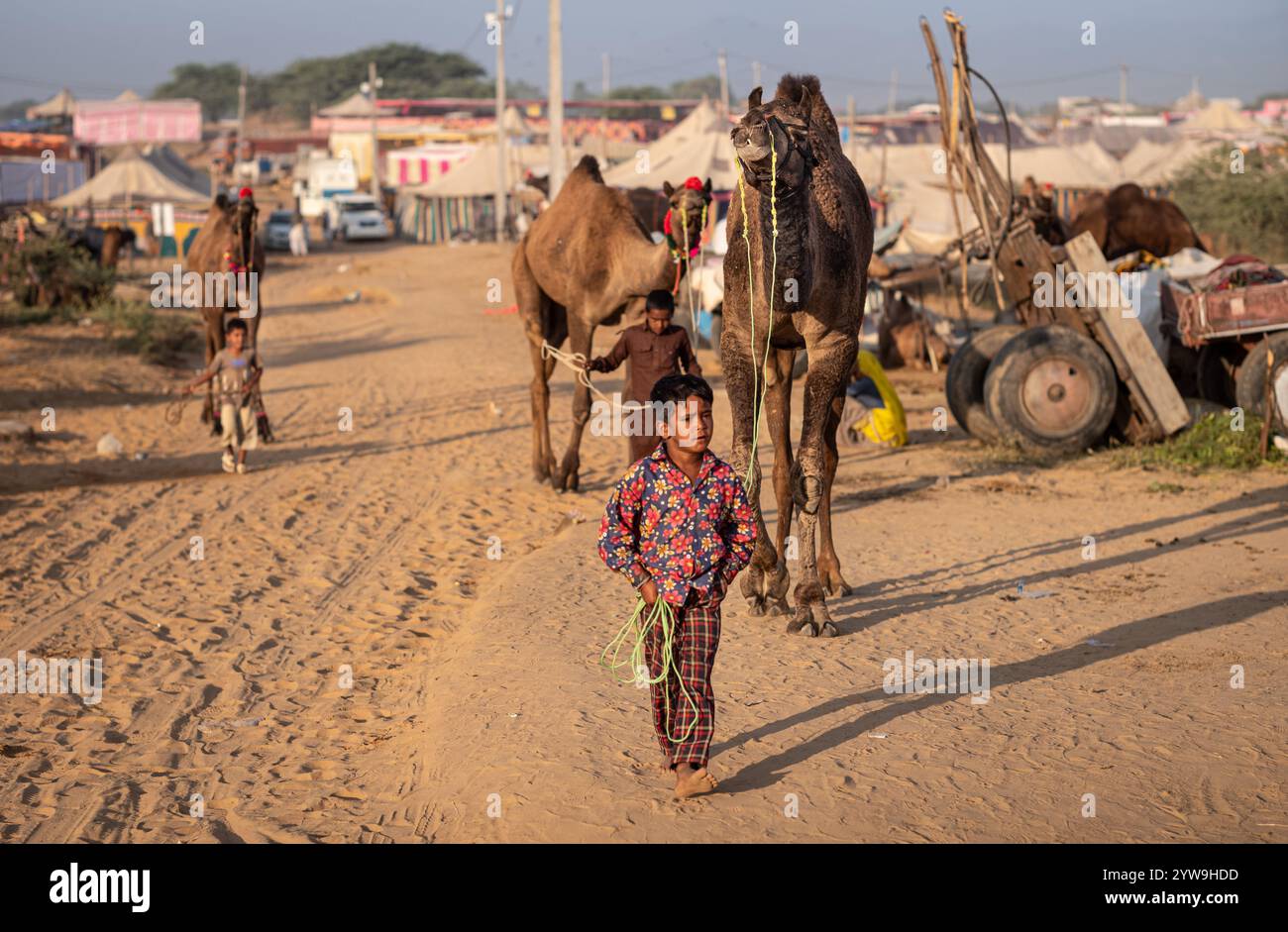 Pushkar Camel Fair Stockfoto