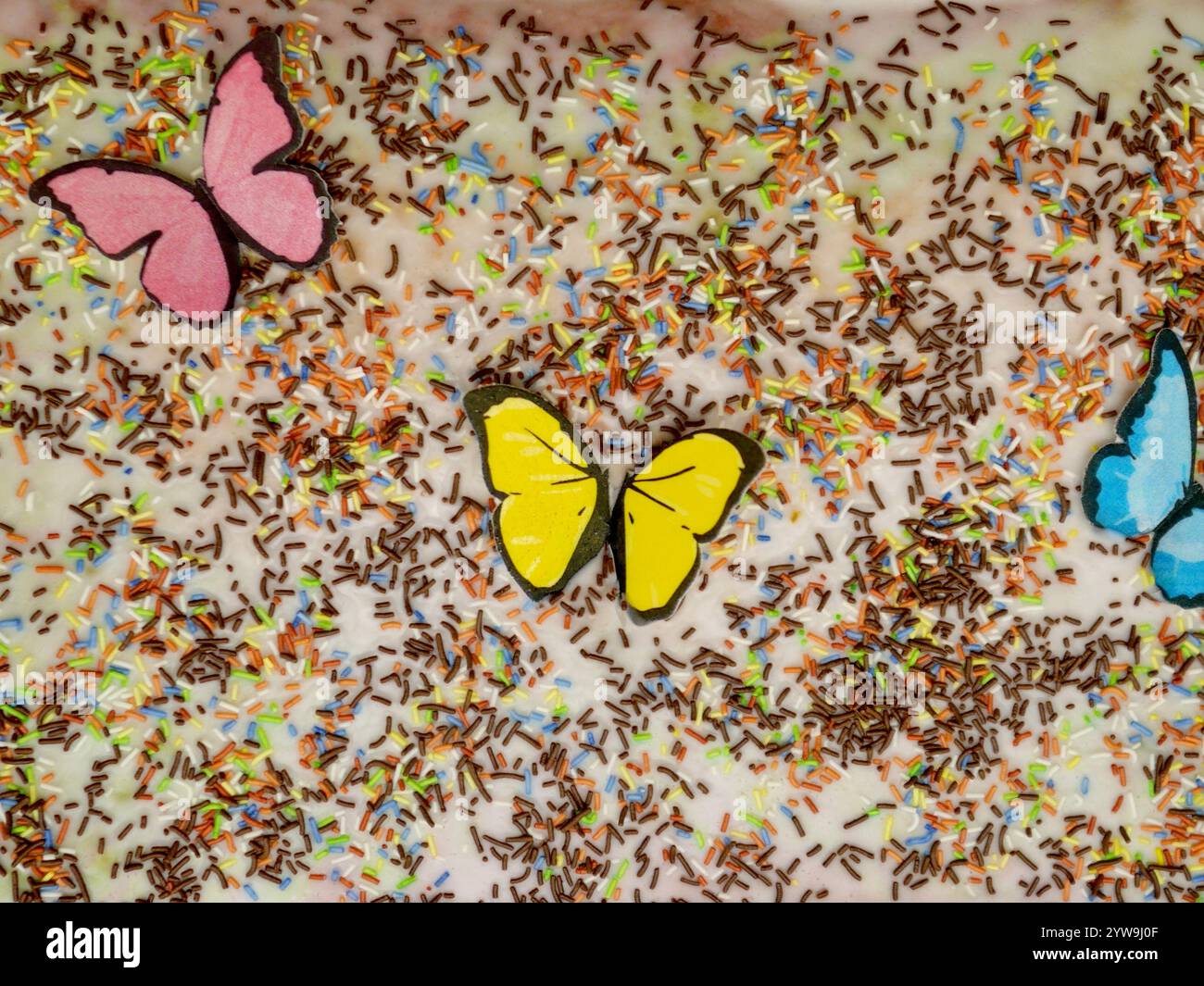 Farbenfroher Kuchen mit Zuckerglasur und Schmetterlingsgarnitur, gebacken für Kinder- und Jugendsportveranstaltungen. Fröhlich, kreativ und köstlich. Stockfoto