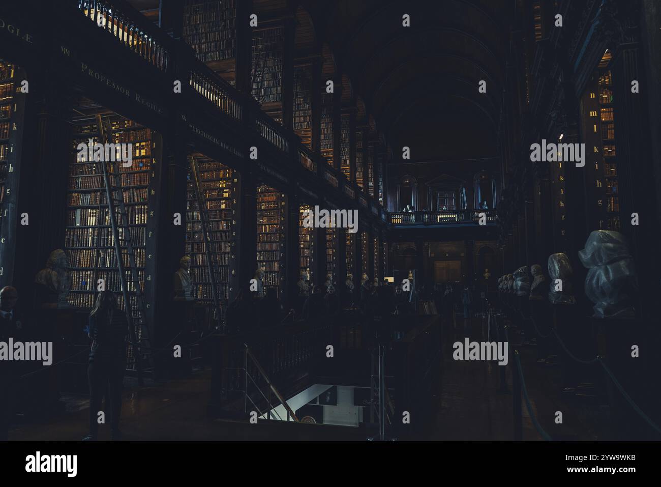 Bibliothek des Trinity College, Dublin Stockfoto