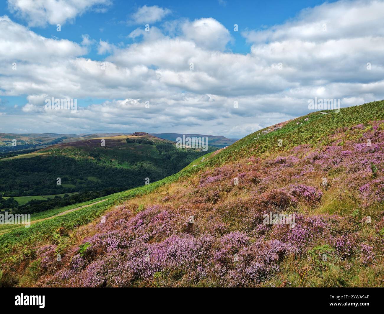 Großbritannien, Derbyshire, Peak District, Bamford Edge, Blick in Richtung Win Hill. Stockfoto