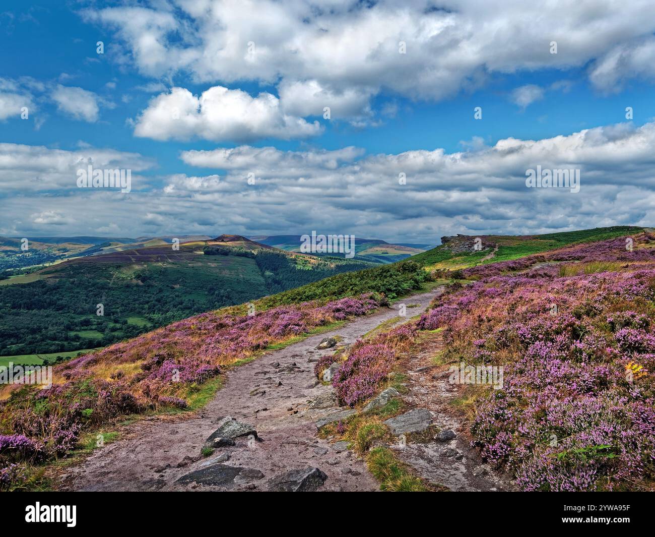 Großbritannien, Derbyshire, Peak District, Bamford Edge, Fußweg zum Great Tor mit Blick auf Win Hill. Stockfoto