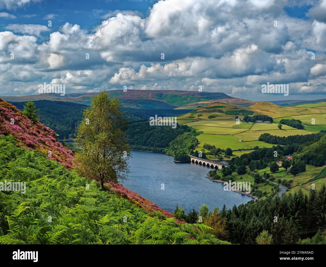 Großbritannien, Derbyshire, Peak District, Ladybower Reservoir ab Bamford Moor. Stockfoto