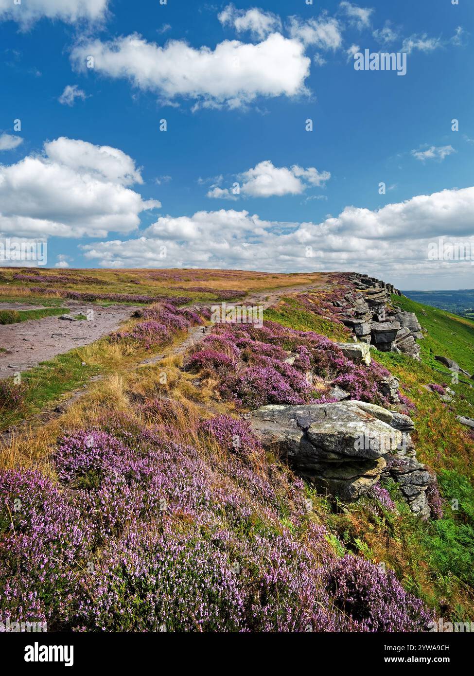 Großbritannien, Derbyshire, Peak District, Bamford Edge. Stockfoto