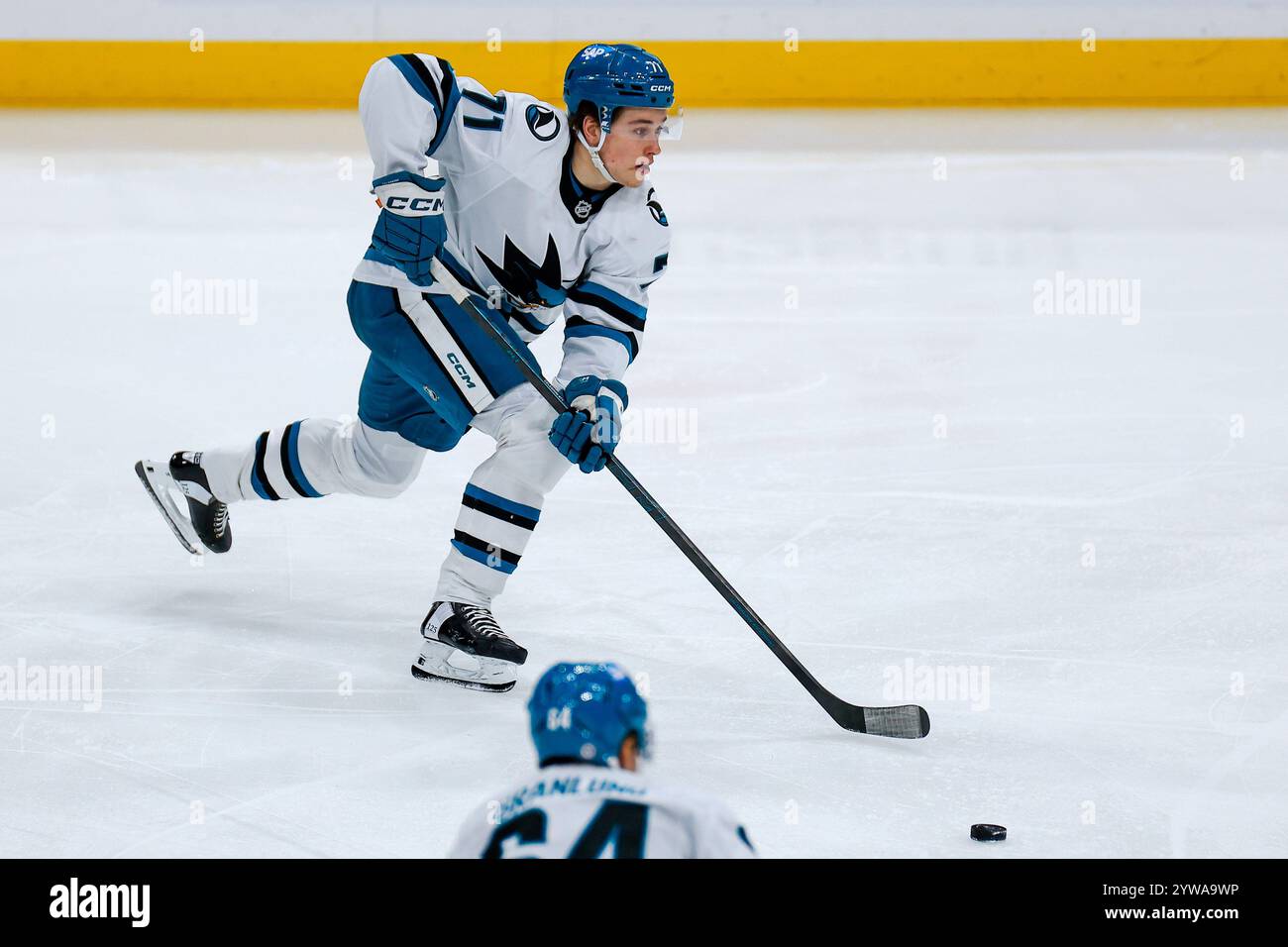 SUNRISE, FL – 07. DEZEMBER: San Jose Sharks Macklin Celebrini (71) von San Jose Sharks in Aktion gegen Florida Panthers (Foto: Chris Arjoon) Stockfoto