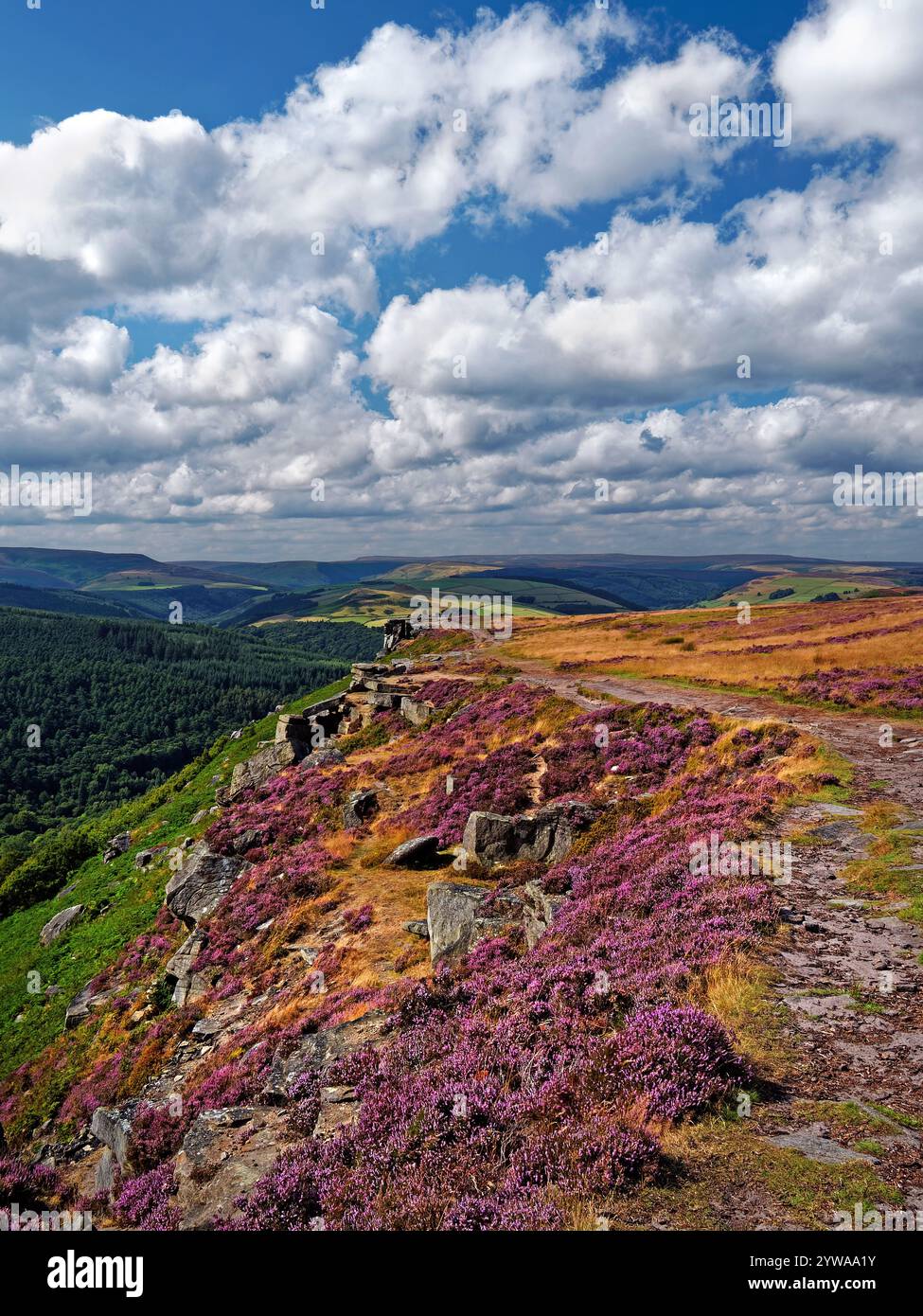 Großbritannien, Derbyshire, Peak District, Bamford Edge. Stockfoto
