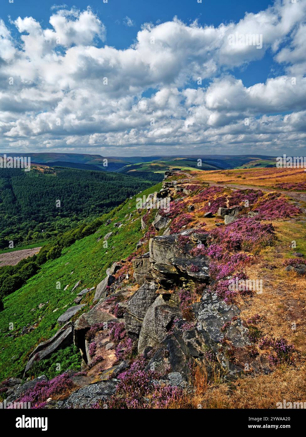 Großbritannien, Derbyshire, Peak District, Bamford Edge. Stockfoto
