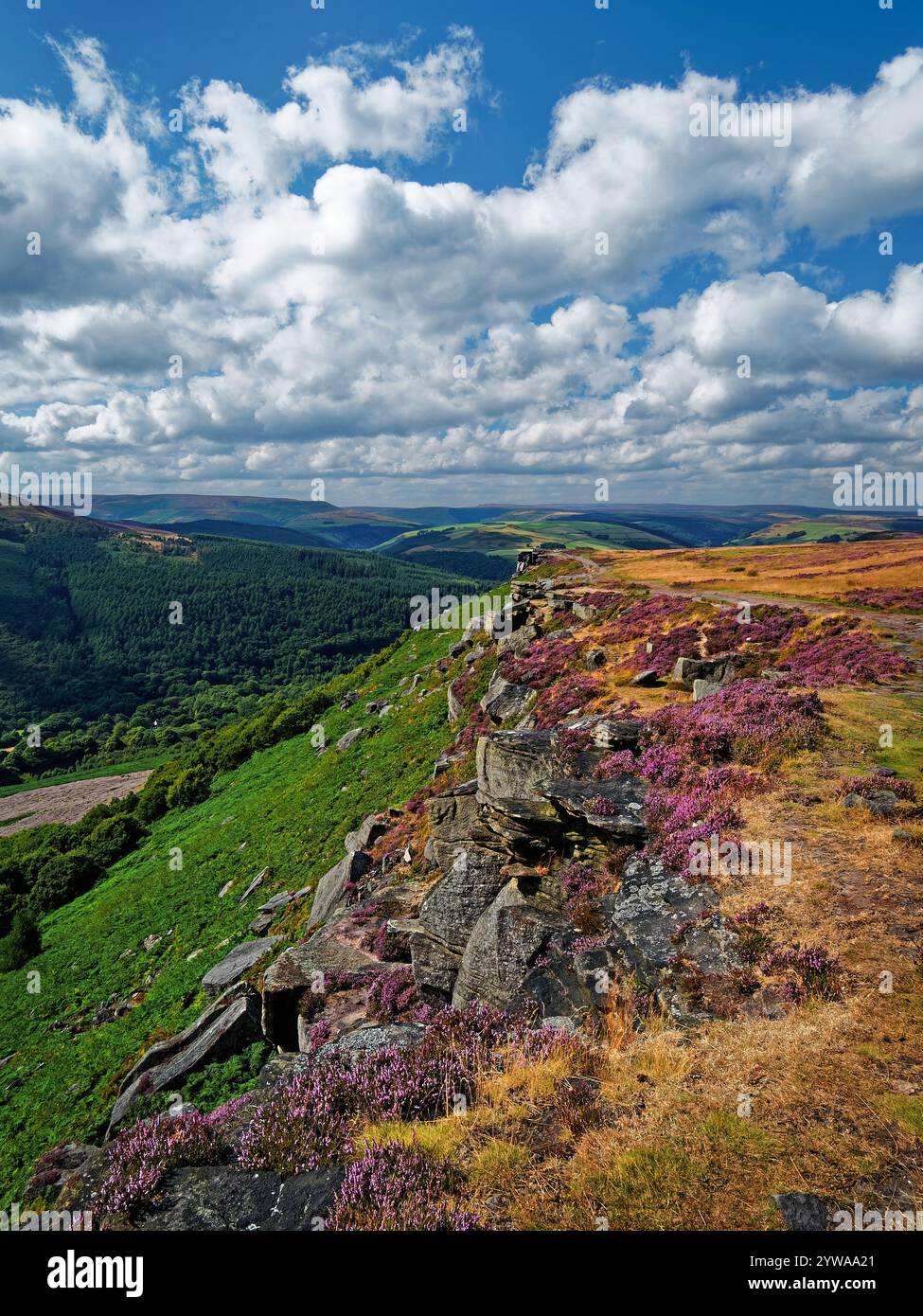 Großbritannien, Derbyshire, Peak District, Bamford Edge. Stockfoto