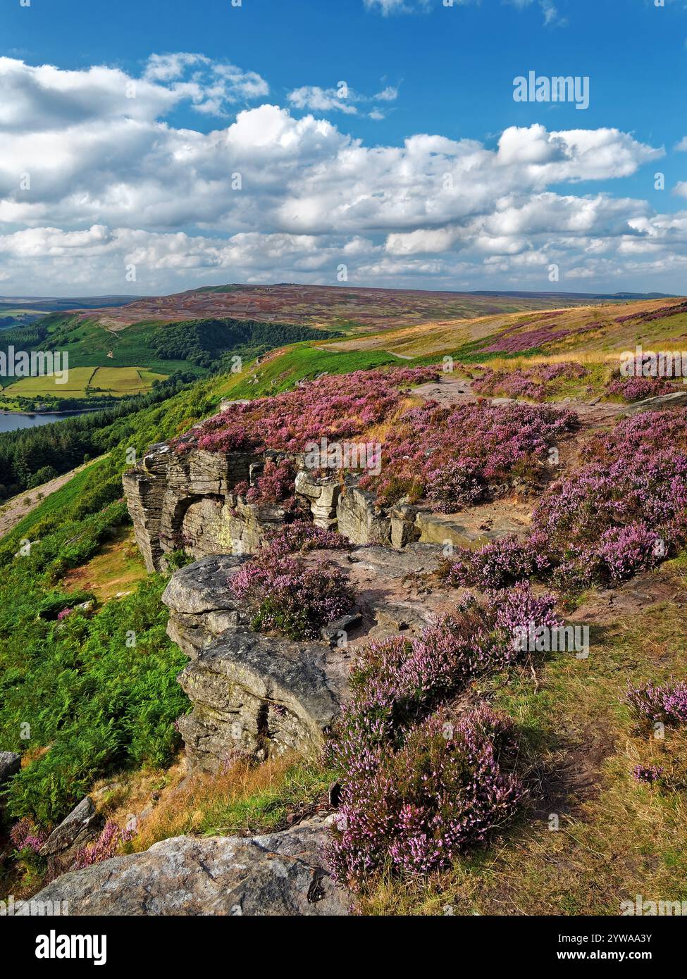 Großbritannien, Derbyshire, Peak District, Blick auf Ladybower Reservoir und Derwent Edge von Bamford Edge. Stockfoto