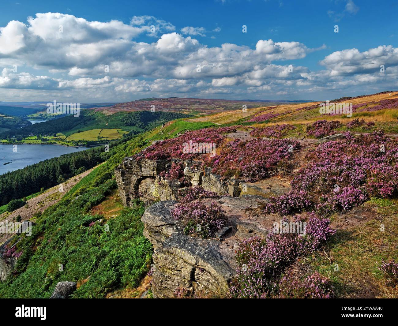 Großbritannien, Derbyshire, Peak District, Blick auf Ladybower Reservoir und Derwent Edge von Bamford Edge. Stockfoto