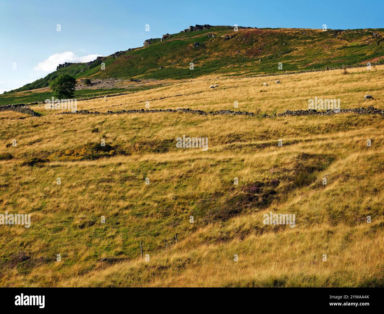Großbritannien, Derbyshire, Peak District, Blick auf Bamford Edge von der Leeside Road. Stockfoto