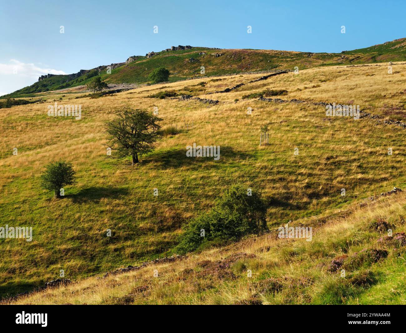 Großbritannien, Derbyshire, Peak District, Blick auf Bamford Edge von der Leeside Road. Stockfoto