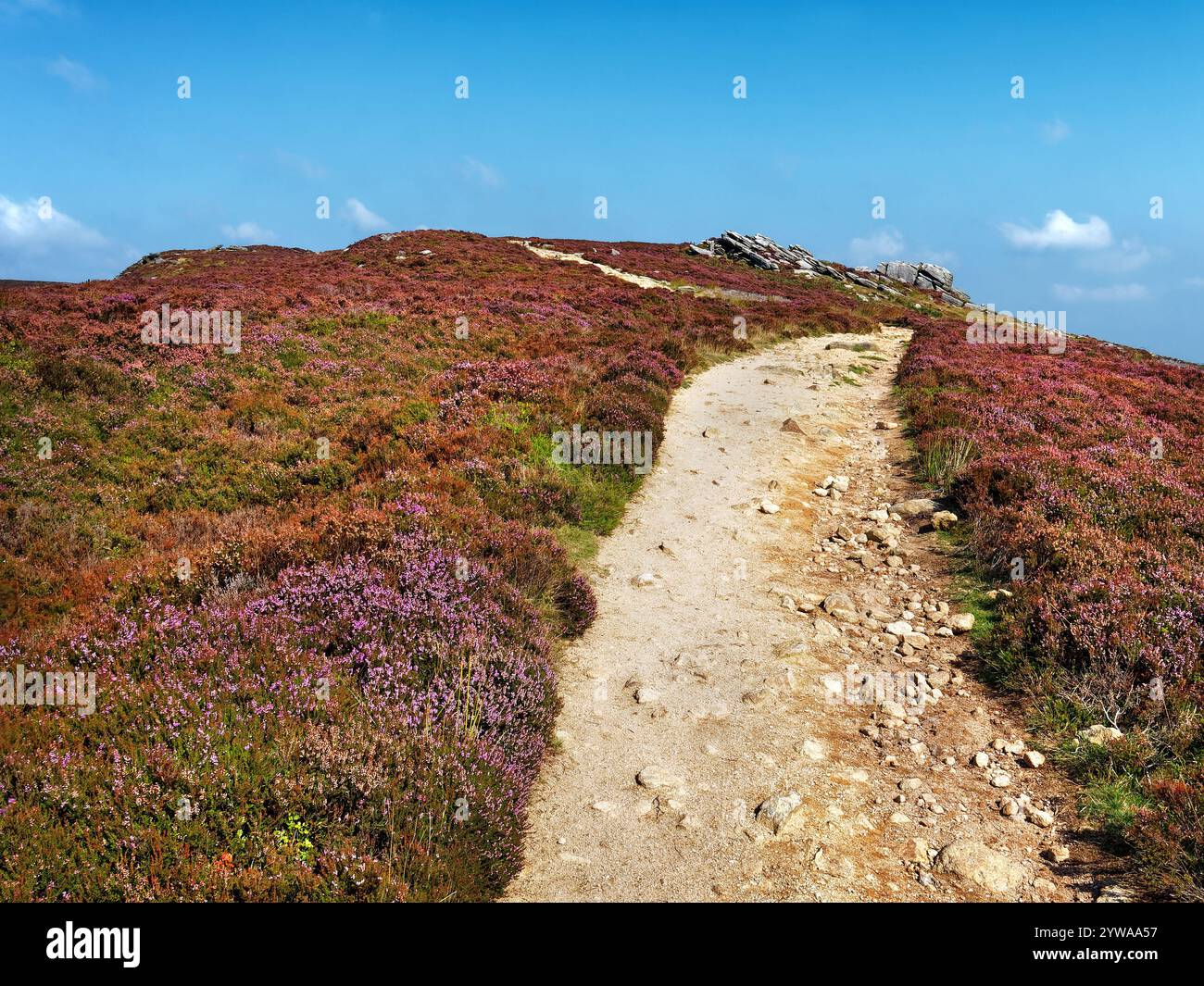 Großbritannien, Derbyshire, Peak District, Derwent Edge, Hurkling Stones. Stockfoto