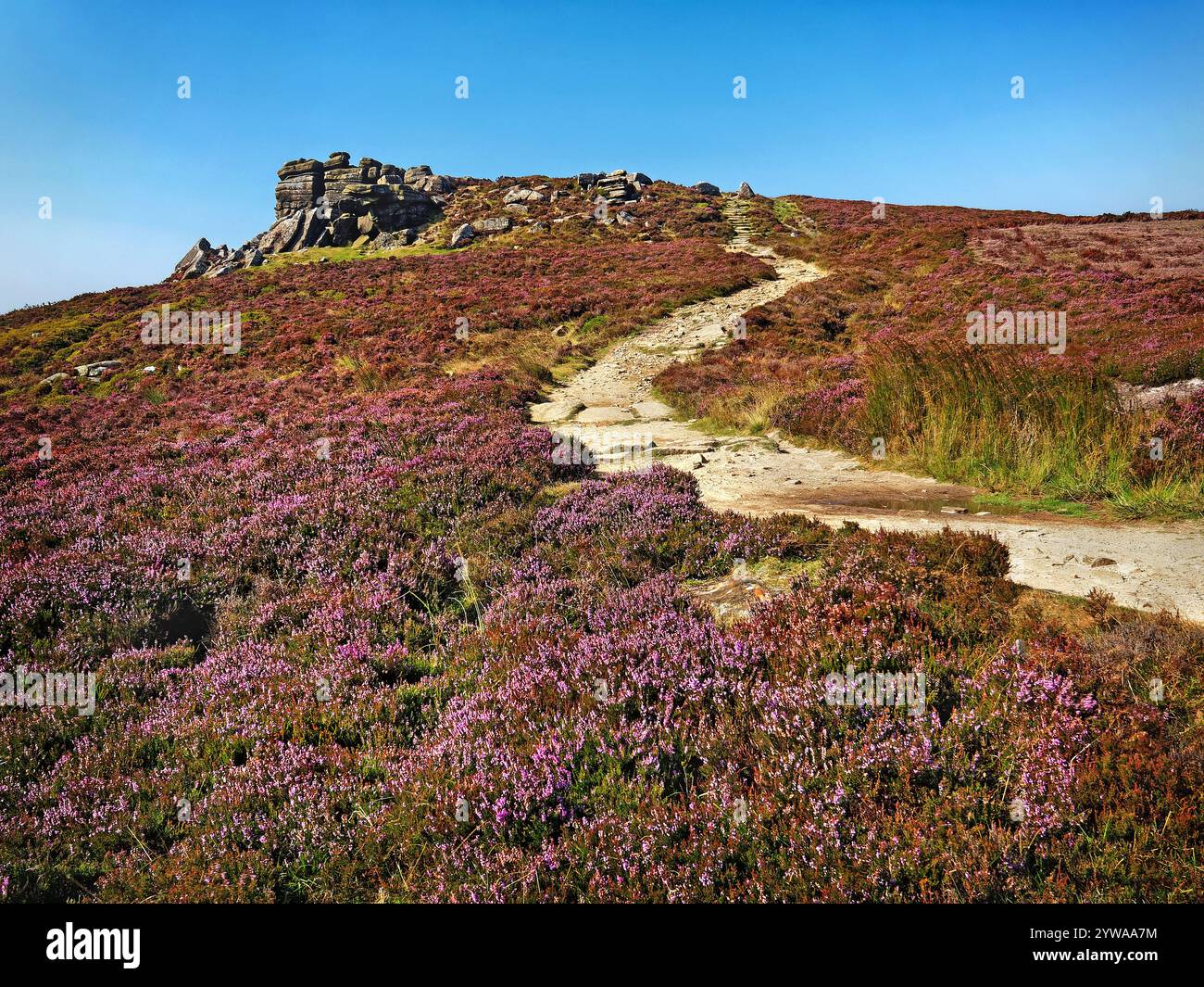 Großbritannien, Derbyshire, Peak District, Derwent Edge, White Tor. Stockfoto