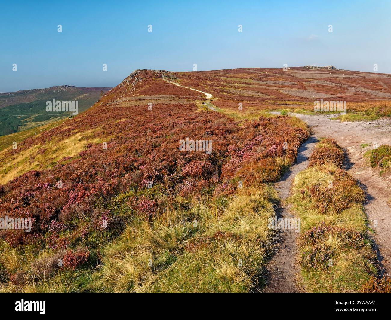 Großbritannien, Derbyshire, Peak District, Derwent Edge, Fußweg zum Whinstone Lee Tor. Stockfoto