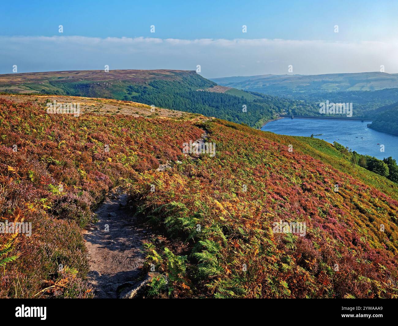 Großbritannien, Derbyshire, Peak District, Ladybower Reservoir und Bamford Edge ab Ladybower Tor. Stockfoto