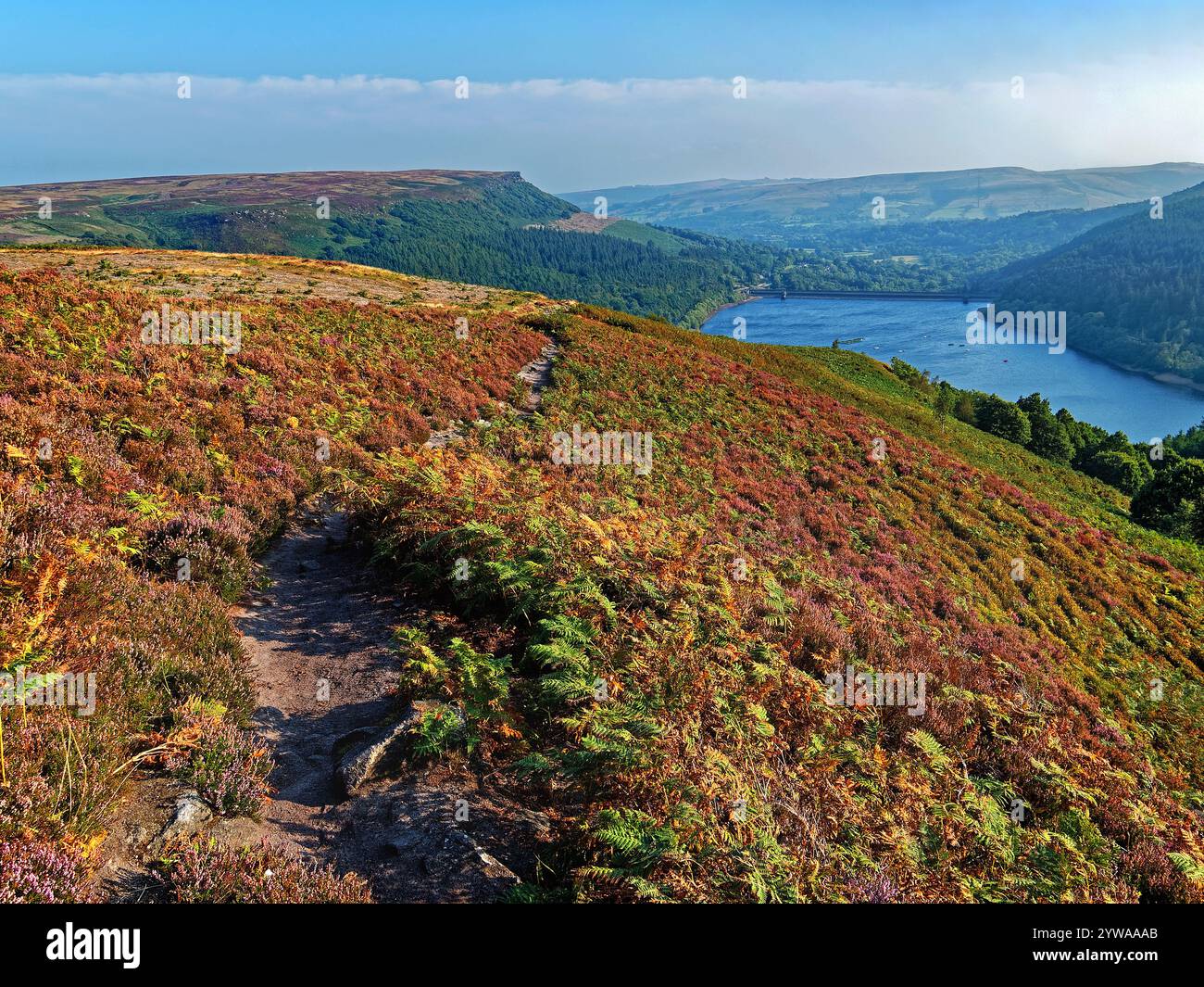 Großbritannien, Derbyshire, Peak District, Ladybower Reservoir und Bamford Edge ab Ladybower Tor. Stockfoto