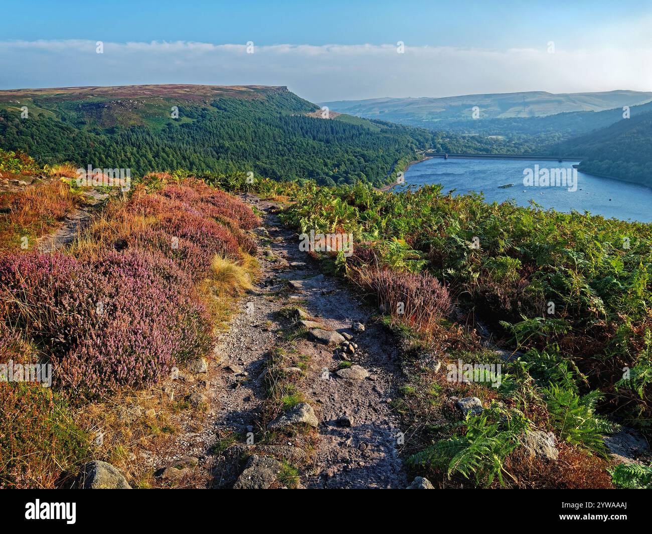 Großbritannien, Derbyshire, Peak District, Ladybower Reservoir und Bamford Edge ab Ladybower Tor. Stockfoto