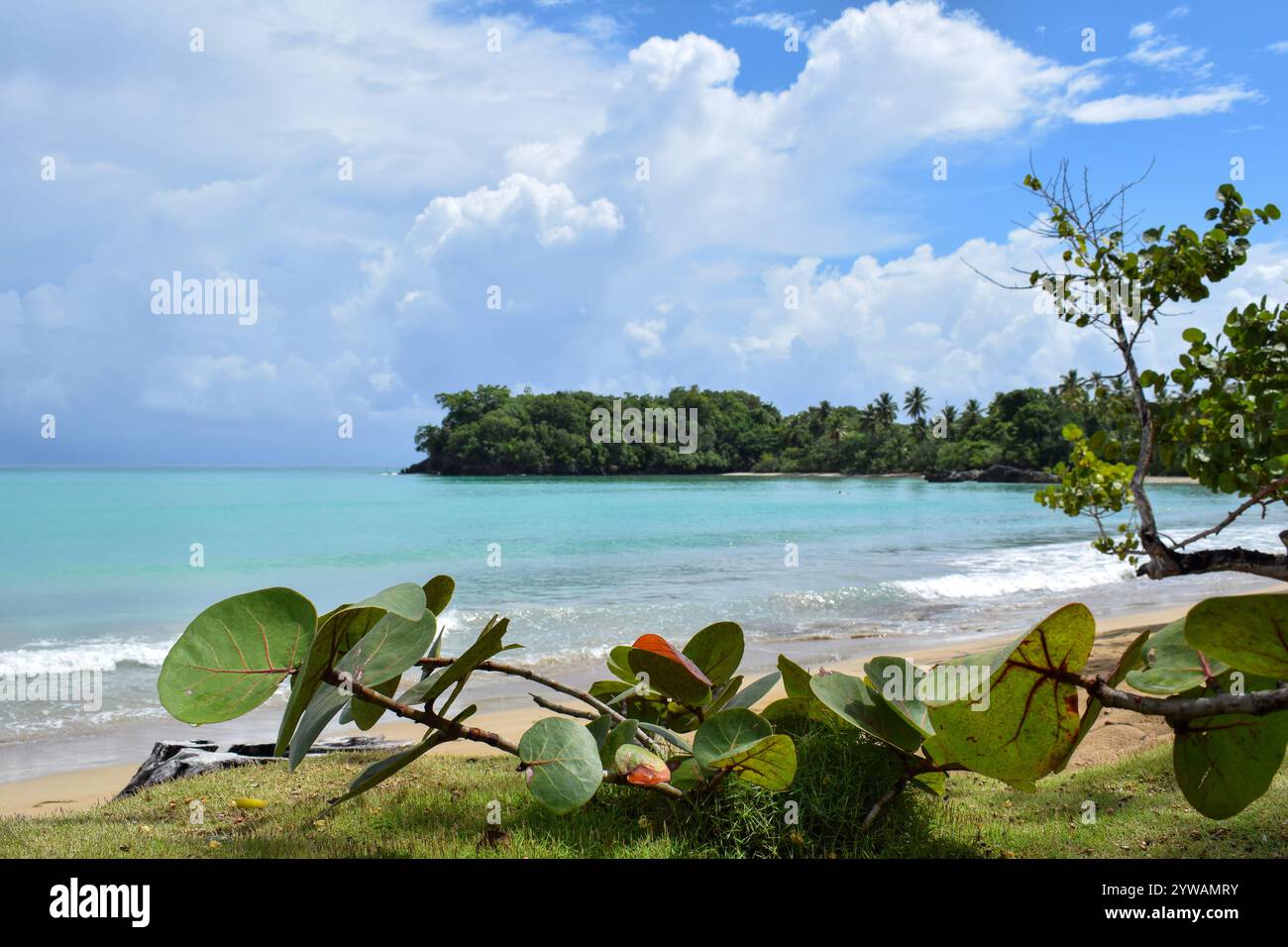 Ein wunderschöner Tag in Playa Bonita, einem der beeindruckendsten Strände in Las Terrenas (Dominikanische Republik). Stockfoto