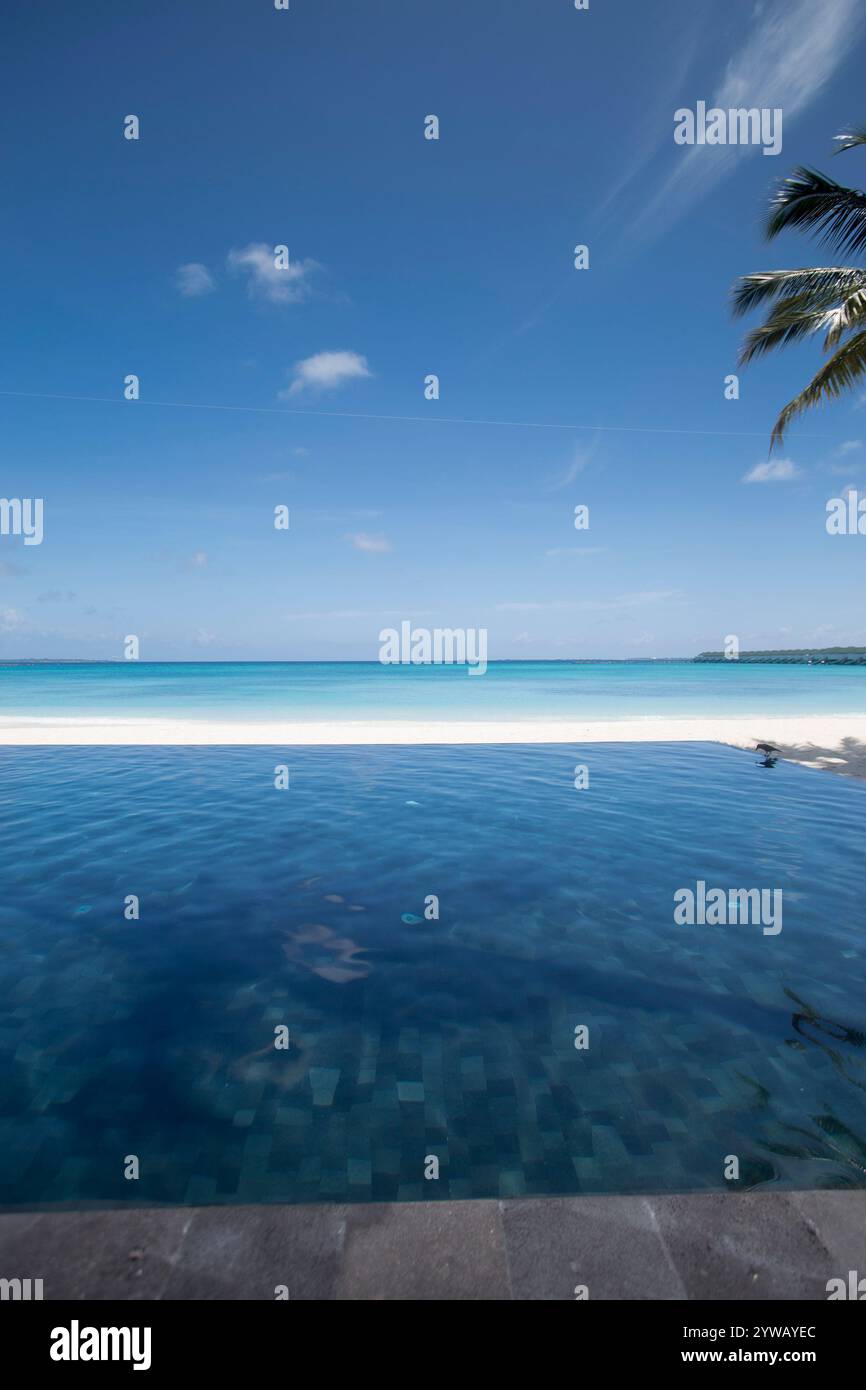 Infinity-Pool mit Blick auf den Indischen Ozean auf den Malediven, Noonu Atoll Stockfoto Infinity-Pool mit Blick auf den Indischen Ozean auf den Malediven, Noonu Atoll Stockfoto