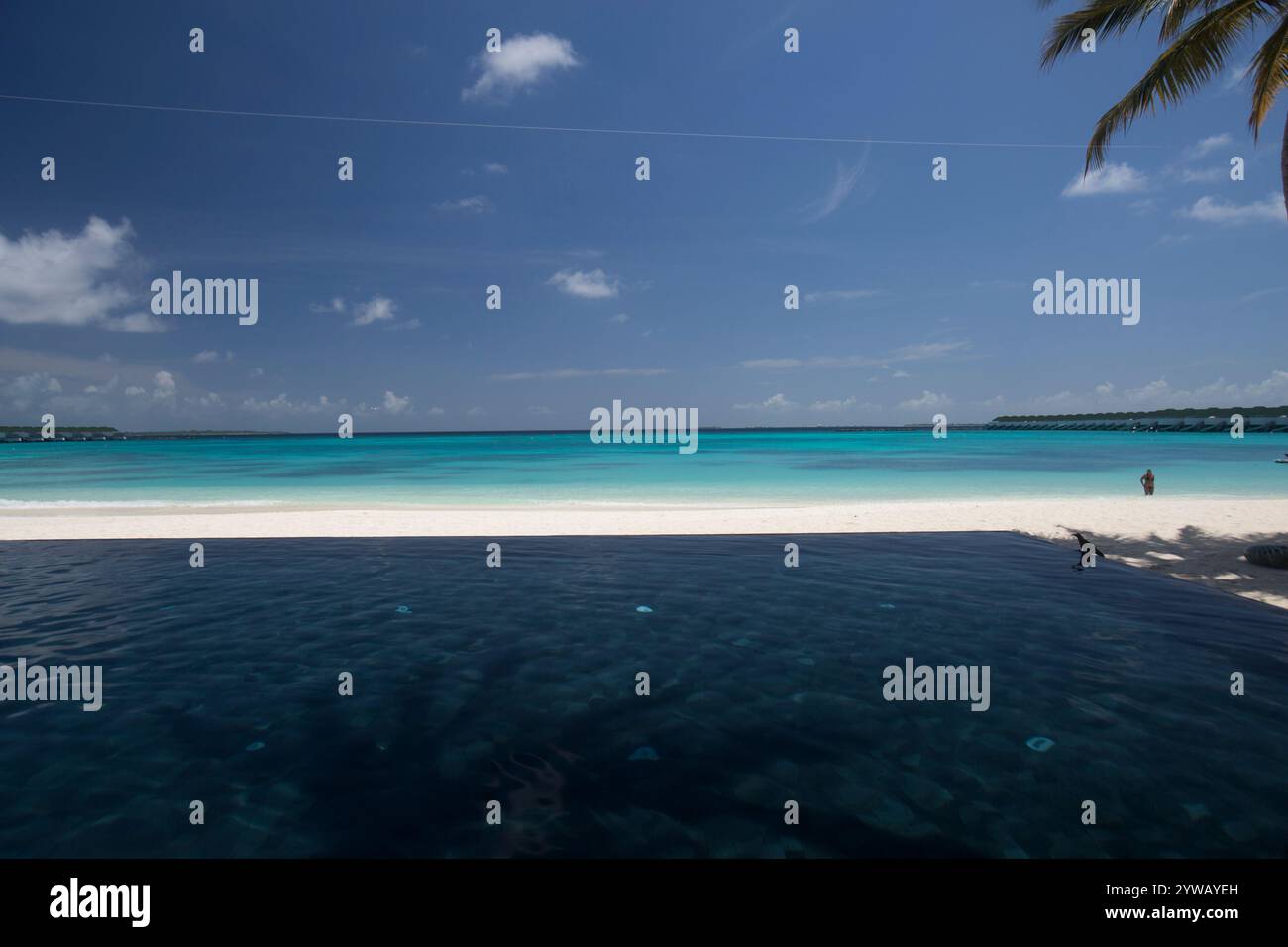 Infinity-Pool mit Blick auf den Indischen Ozean auf den Malediven, Noonu Atoll Stockfoto Infinity-Pool mit Blick auf den Indischen Ozean auf den Malediven, Noonu Atoll Stockfoto