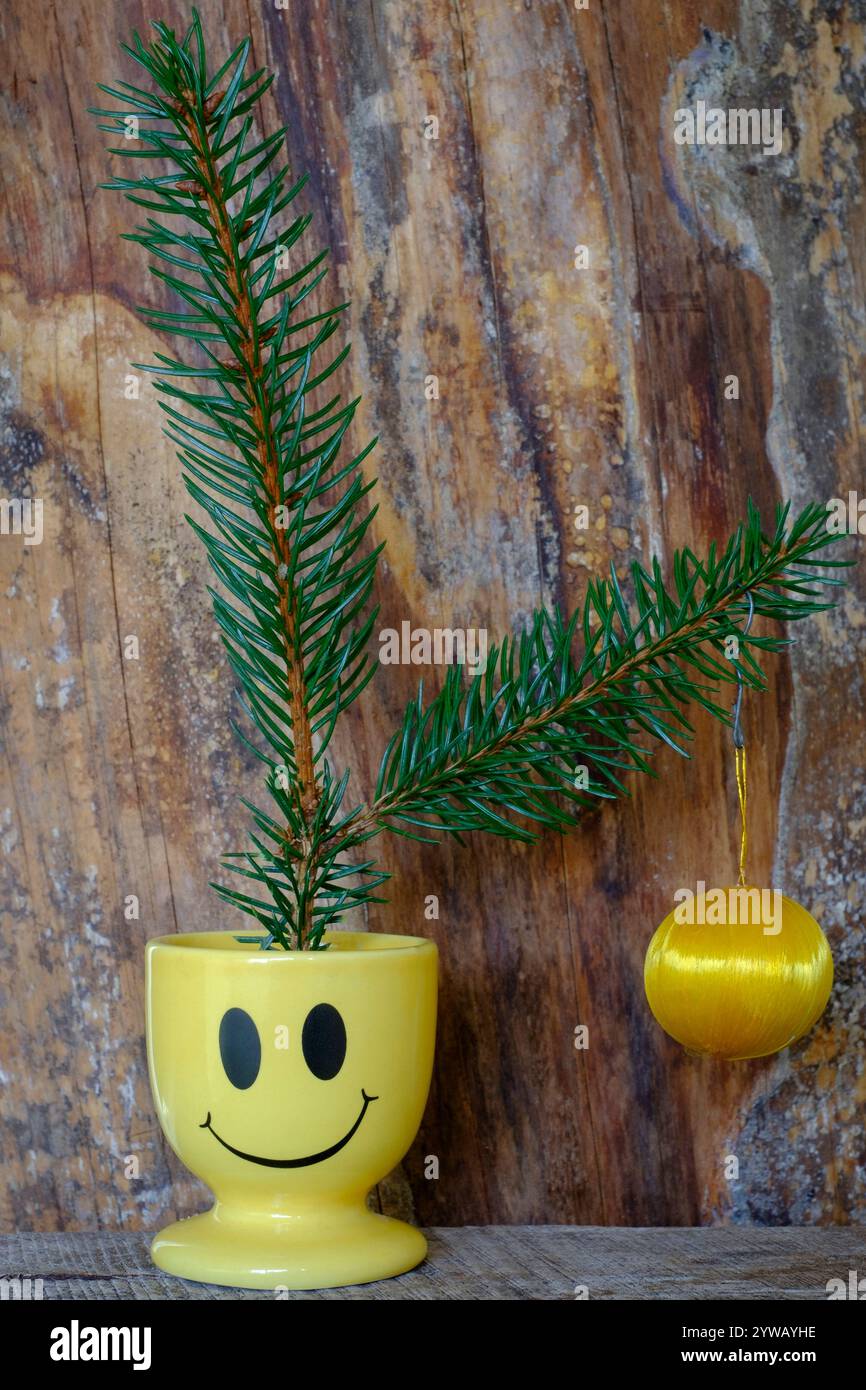 Zwei Tannenwedel mit einer einzelnen billigen hängenden Kugel saßen in einem Smiley Gesicht Eierbecher Konzept Budget Kosten für lebende Krisen weihnachtsbaum Dekoration Stockfoto