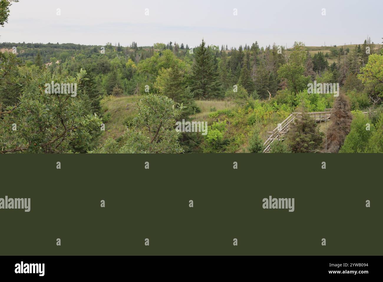 Brücke über das Wasser und komplexe Holztreppen, die aus einer tiefen Schlucht führen Stockfoto