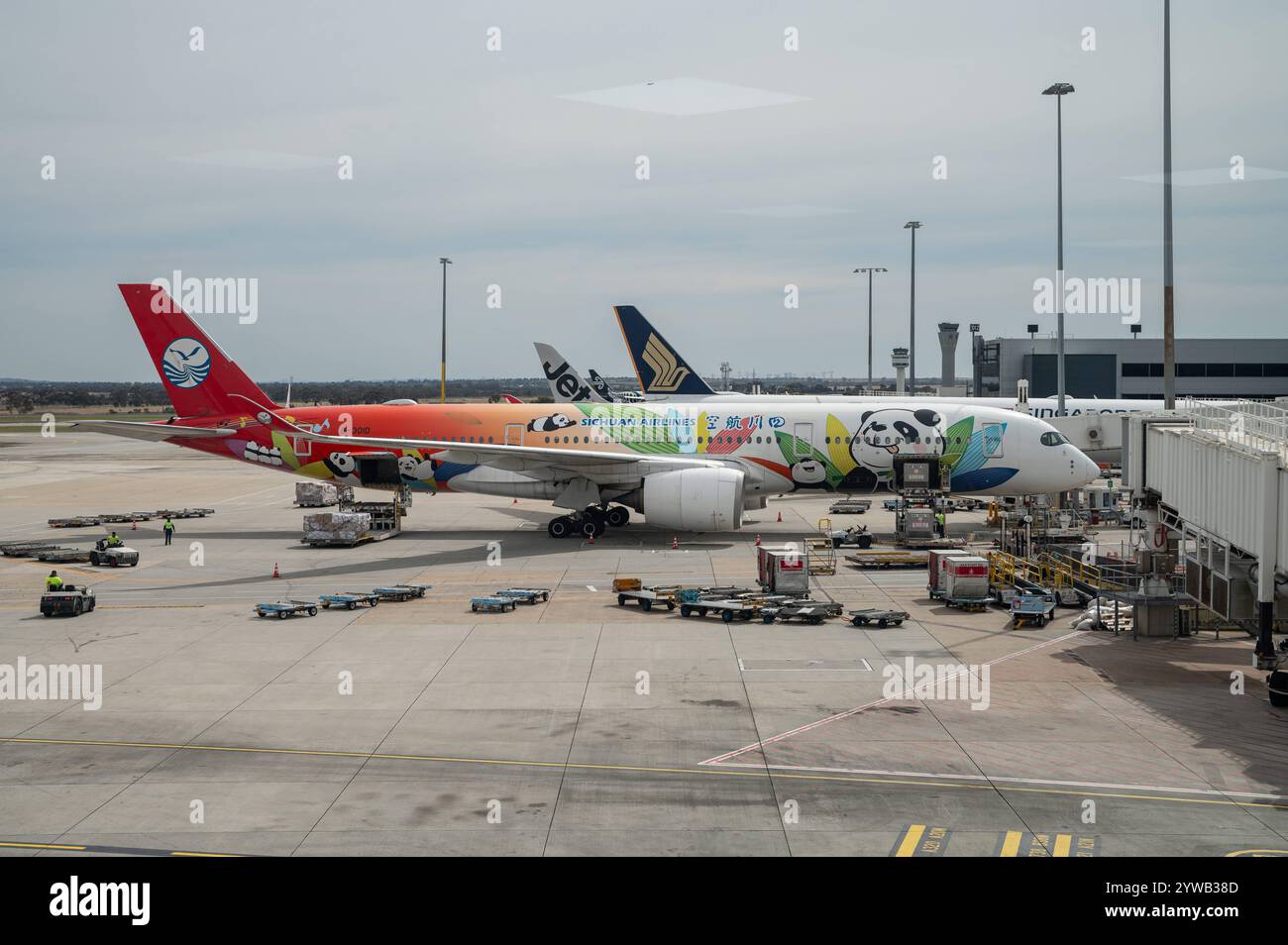 02.11.2024, Melbourne, Victoria, Australien - ein Airbus A350-900 Passagierflugzeug der chinesischen Fluggesellschaft Sichuan Airlines mit der Registrierung B-30ID und der Panda-Route-Sonderbemalung parkt an einem Gate auf dem Vorfeld des internationalen Flughafens Melbourne Tullamarine. Sichuan Airlines Co. Ltd. Ist eine chinesische Fluggesellschaft mit Sitz in Chengdu und Basis auf dem Flughafen Chengdu-Shuangliu, Provinz Sichuan. *** 02 11 2024, Melbourne, Victoria, Australien ein Passagierflugzeug des Typs Airbus A350 900 der chinesischen Fluggesellschaft Sichuan Airlines mit der Eintragung B 30ID und dem Pa Stockfoto