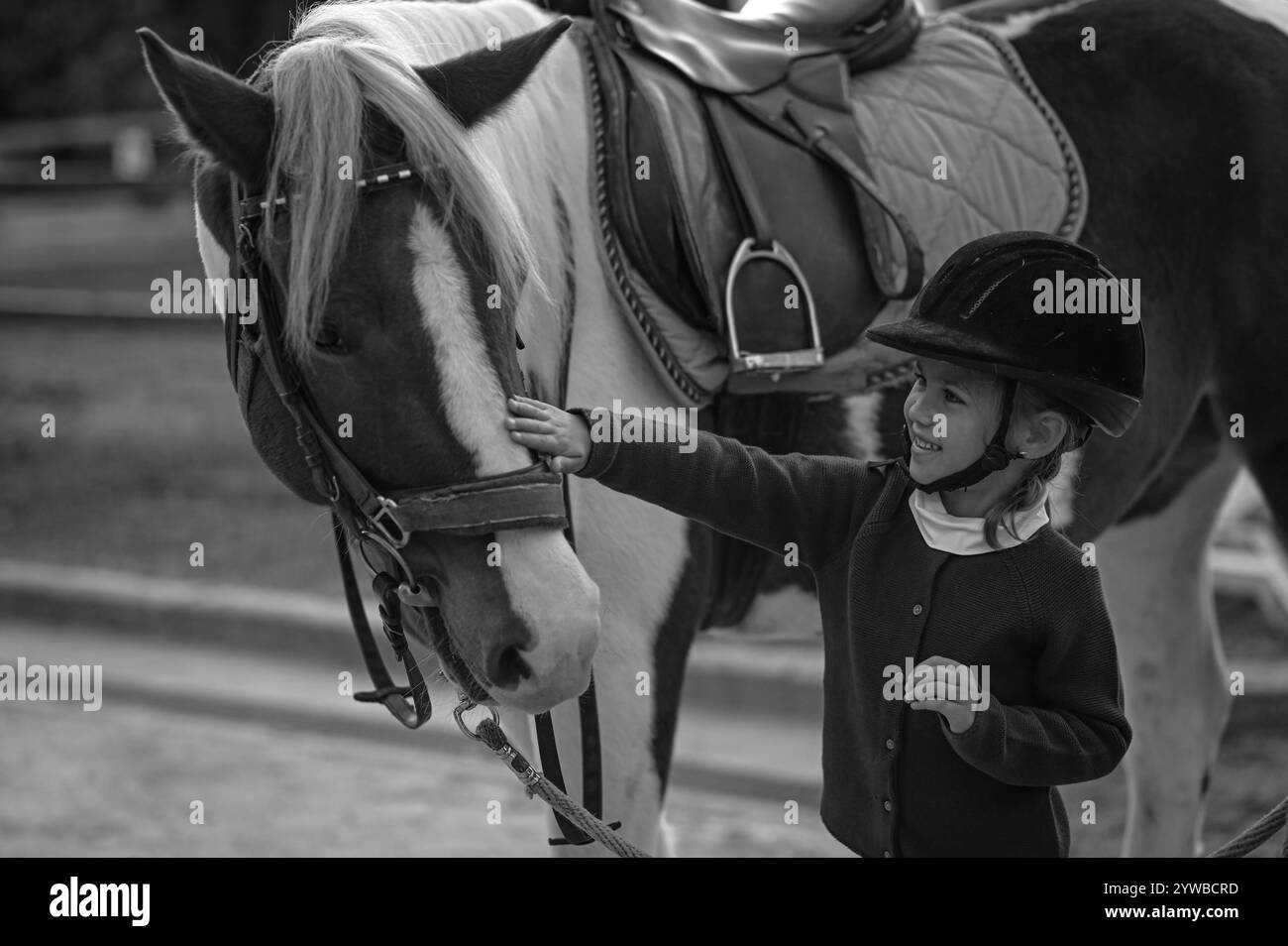 Das Mädchen reitet auf dem Pferd in einer Ausbildung Stockfoto