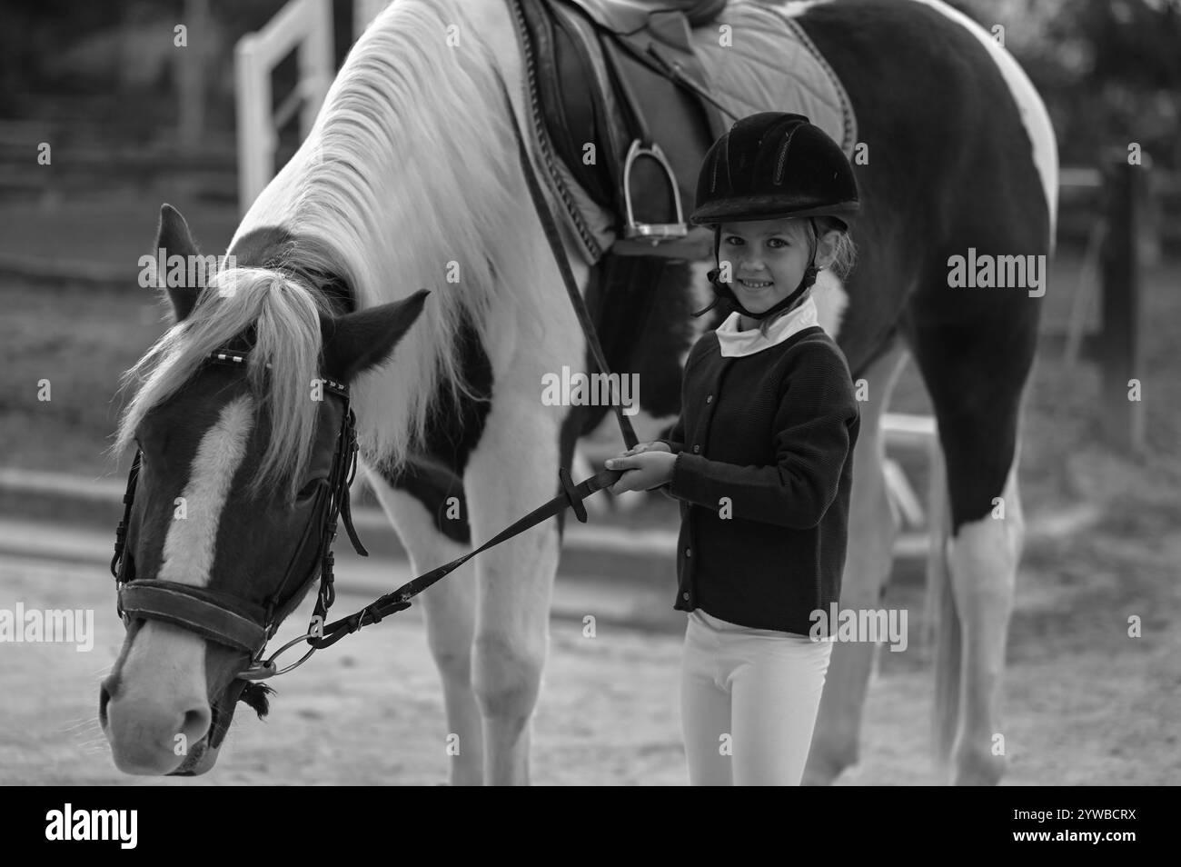 Das Mädchen reitet auf dem Pferd in einer Ausbildung Stockfoto