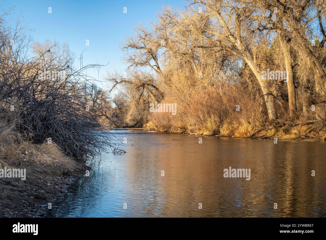 Poudre River in Fort Collins, Colorado, in der Umgebung des späten Herbstes Stockfoto