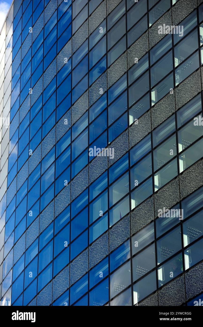 Kompetenz, Vertrauen, Unternehmen, Unternehmen, Investition, Bauwesen, Gebäude, Baustelle, Gerüste, Gerüste, Bau, , Abdeckung, Schutz, Arbeit, Stockfoto