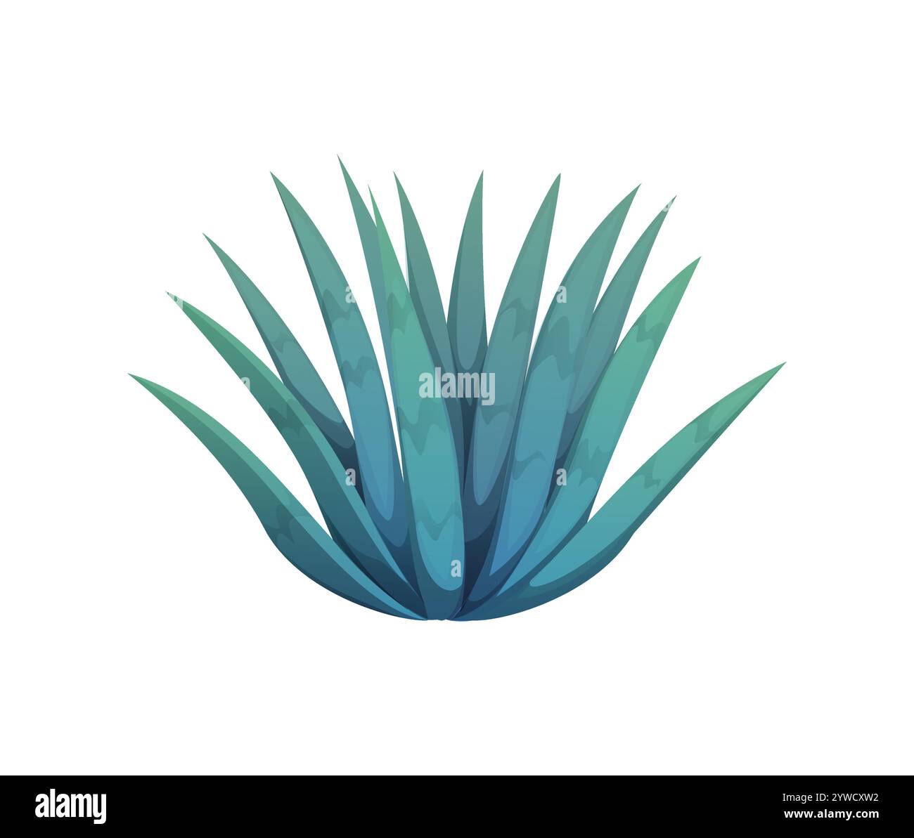 Mexico tequila agave Stock-Vektorgrafiken kaufen - Alamy