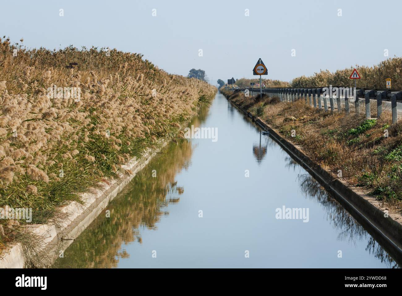 Bewässerungsgraben neben dem Naturpark El Hondo, Elche, Spanien Stockfoto