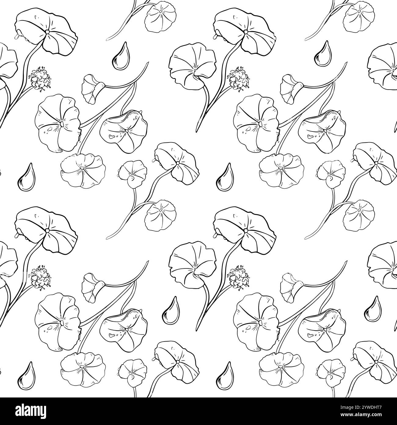 Centella asiatica und Tropfen schwarz-weiß Vektor nahtlose Muster isoliert. Wiederholte Textur von Pfannenkraut, gotu-Kola-Kräuterpflanzen, monochrom gezeichnet Stock Vektor