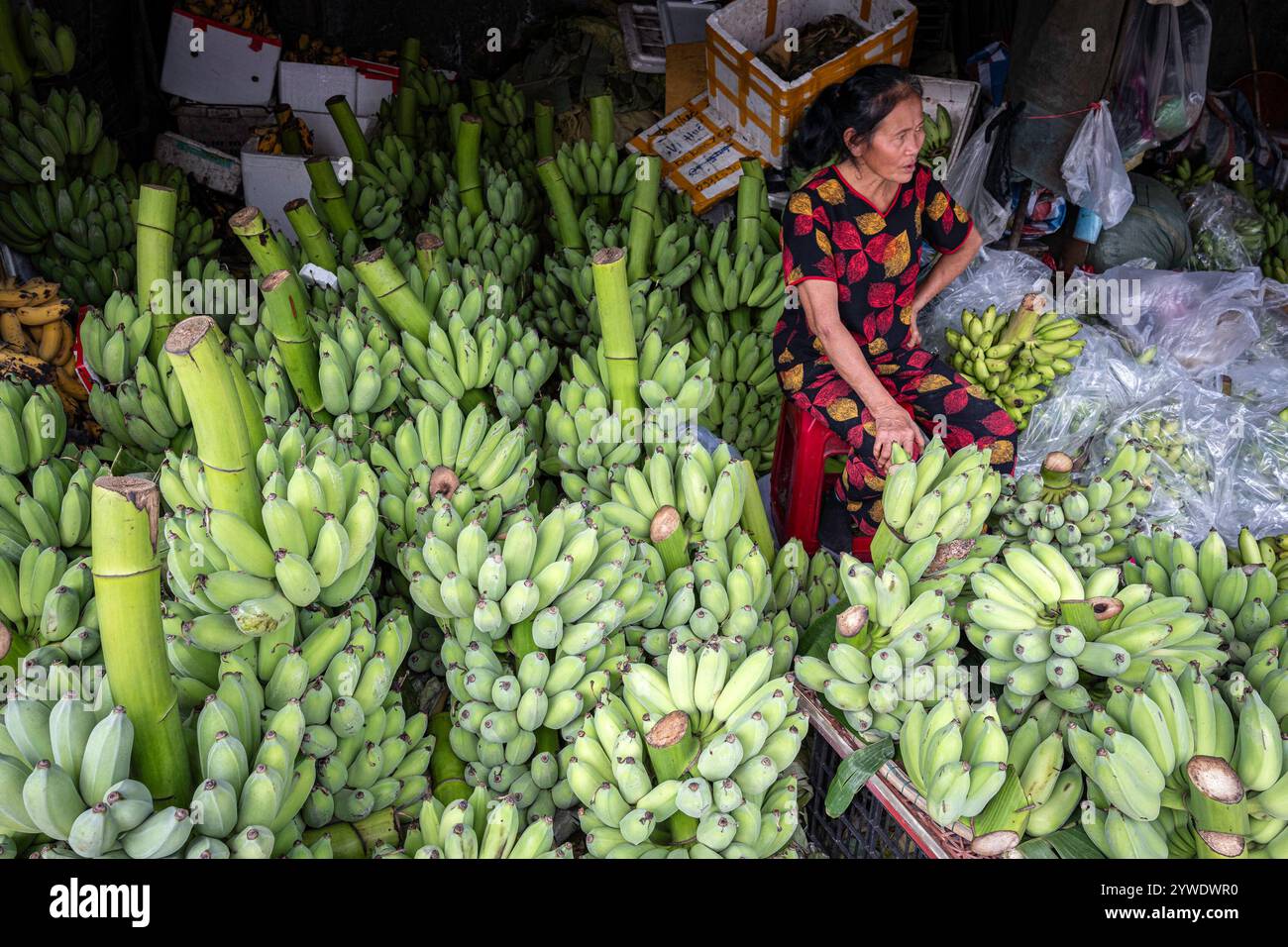 Vietnam, Hue, 15.02.2024, kaiserliche Stadt, Dong Ba Markt, Essen, Bananen, vietnamesische Frauen Verkäufer, grüne Bananen, Laden, Straßenleben Stockfoto