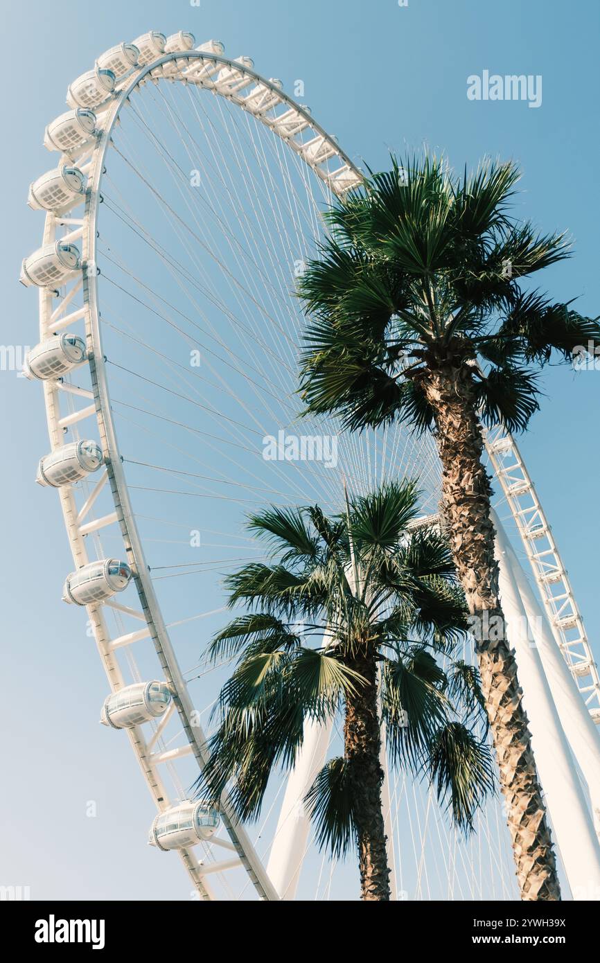 Riesenrad am blauen Himmel während des Tages, geringer Blickwinkel. Ain Dubai, Dubai Eye Stockfoto
