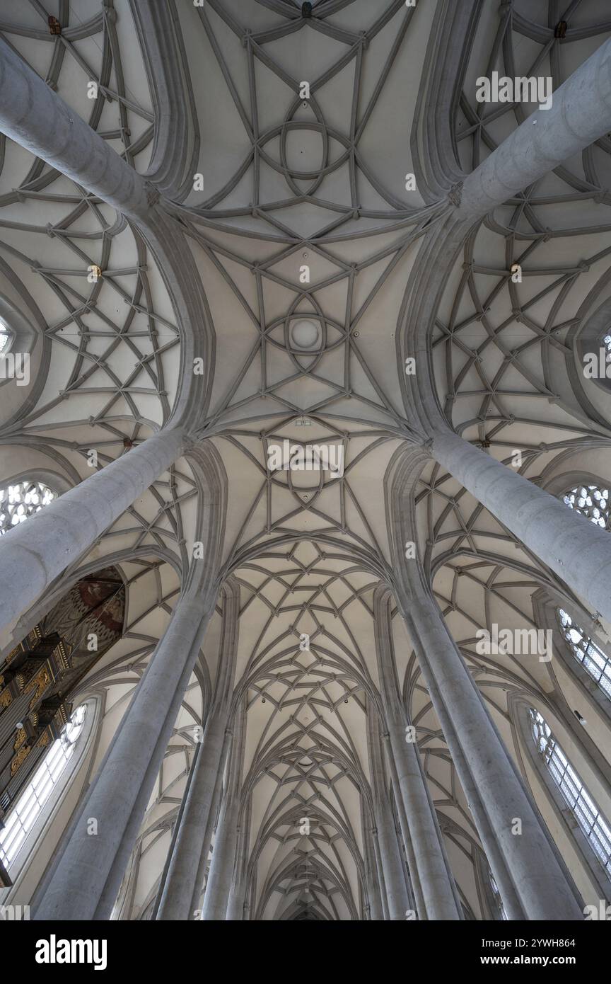 Gewölbe der spätgotischen St. Georg-Kirche, erbaut zwischen 1427 und 1505, Kirche, Noerdlingen, Bayern, Deutschland, Europa Stockfoto