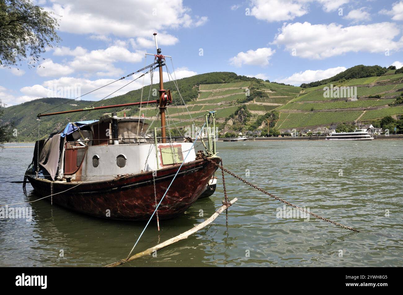 Schiffswrack gegenüber Assmannshausen, UNESCO-Weltkulturerbe Kulturlandschaft Oberes Mittelrheintal, Weltkulturerbe, Rheinland-Pfalz, Keim Stockfoto