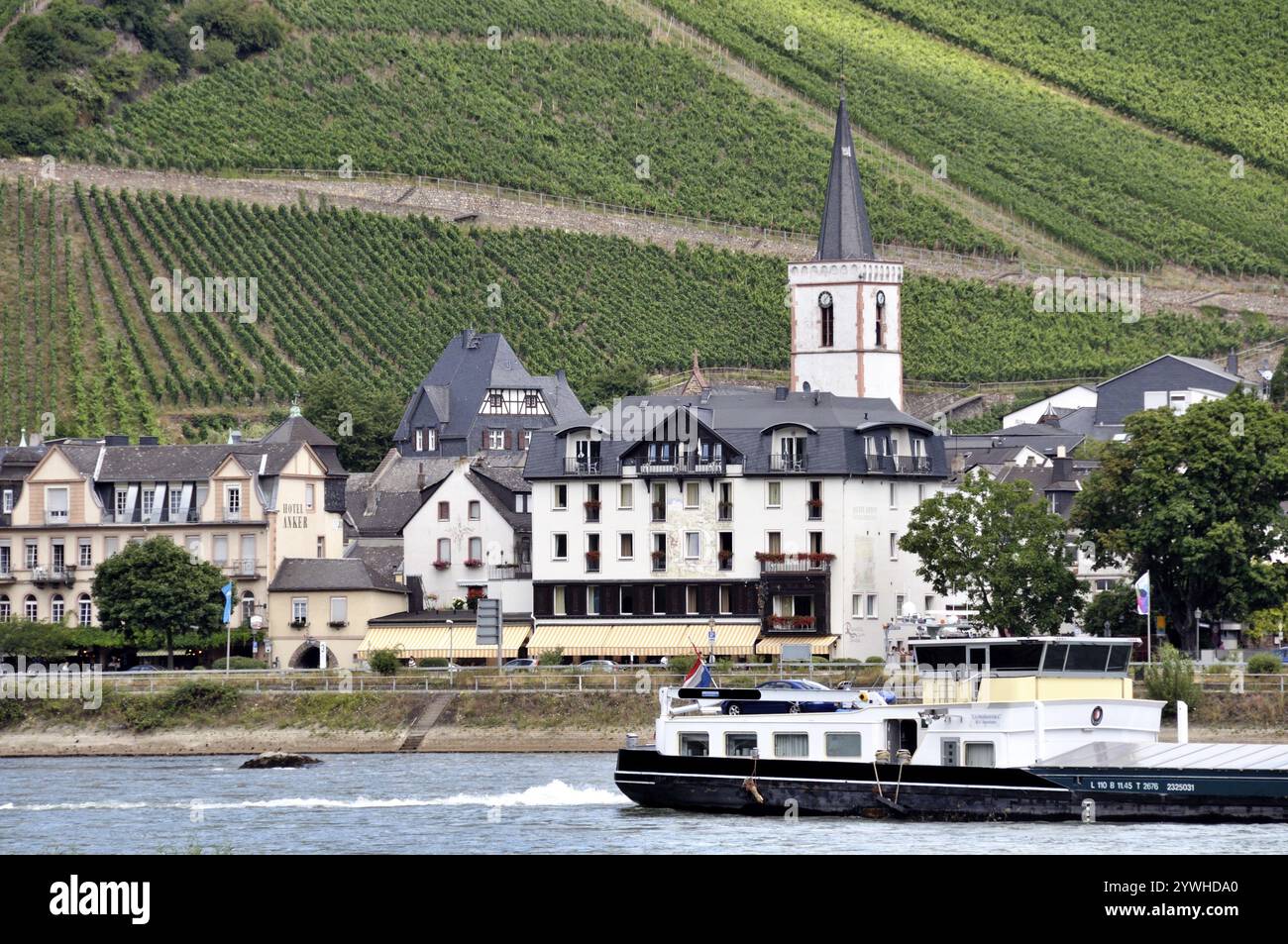 Assmannshausen, UNESCO-Weltkulturerbe Kulturlandschaft Oberes Mittelrheintal, Weltkulturerbe, Hessen, Deutschland, Europa Stockfoto