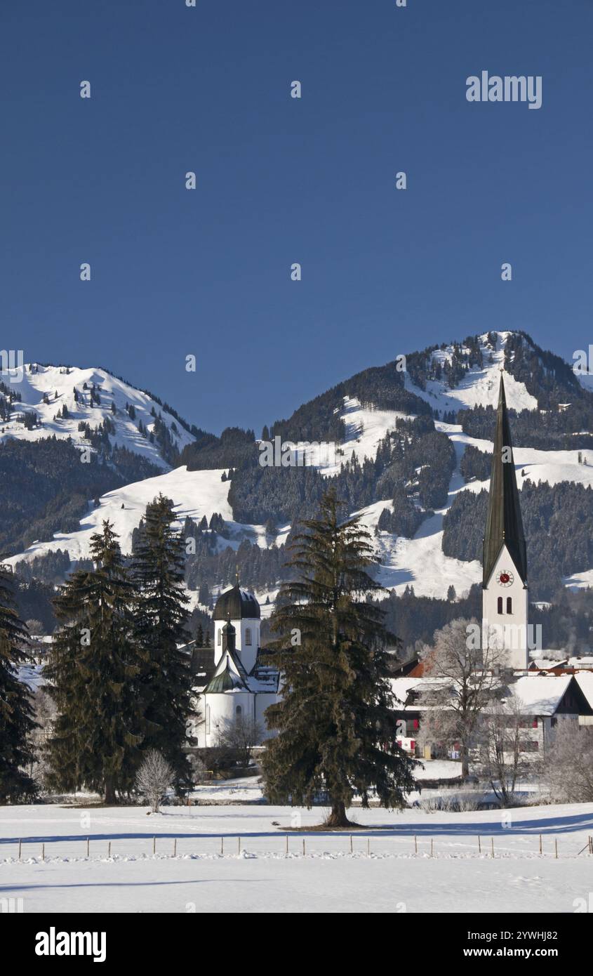 Fischerei im Allgäu, dahinter die Hoerner-Gruppe, Allgäu-Alpen, Bayern, Deutschland, Europa Stockfoto