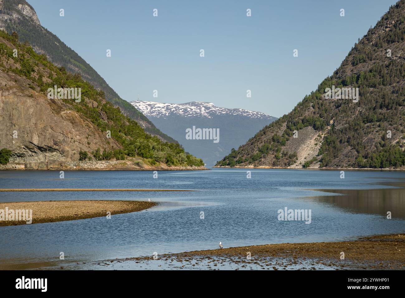 Die wunderschöne norwegische Natur der Fjorde Stockfoto