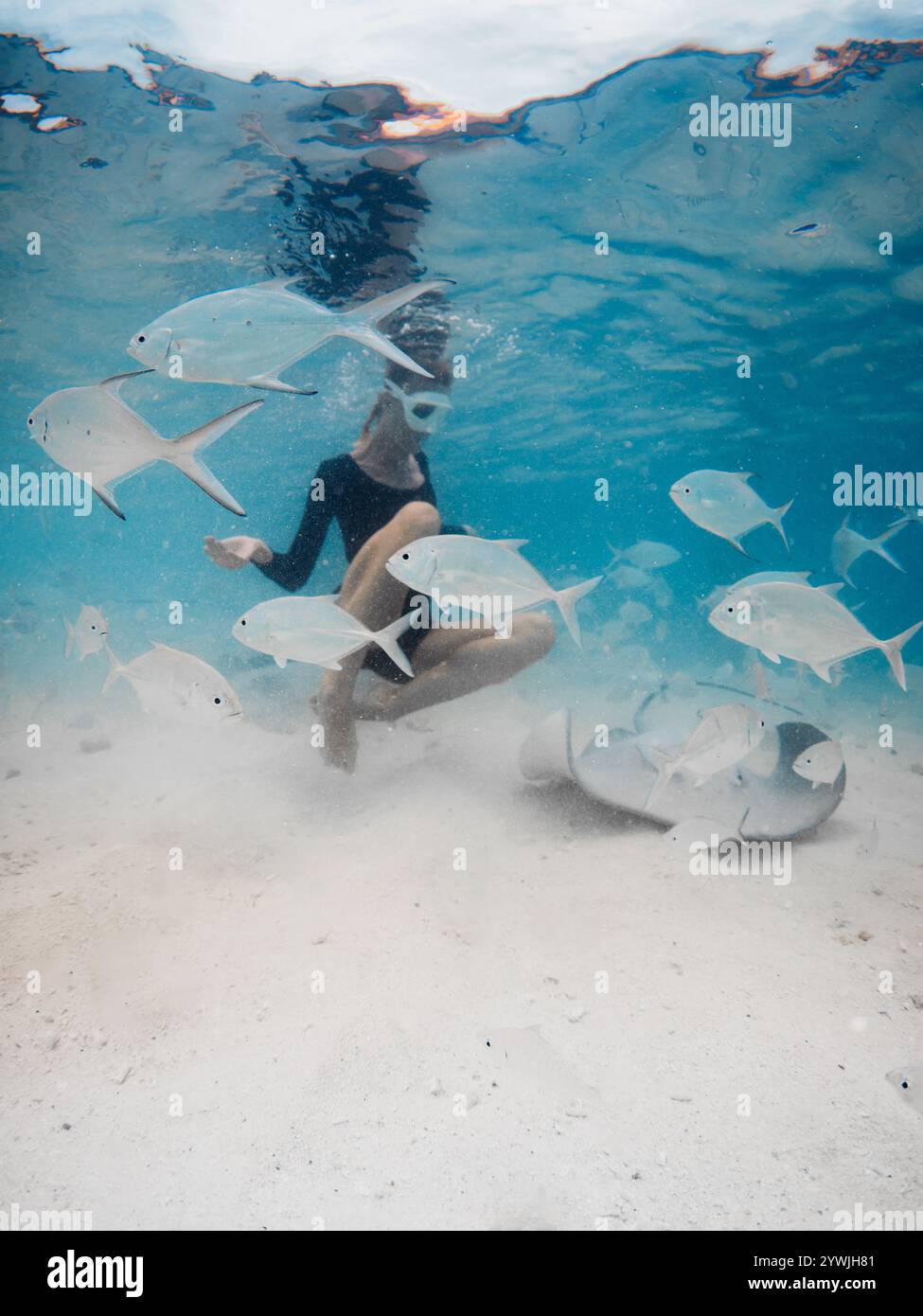 Frau schwimmt mit Stachelrochen und tropischen Fischen auf den Malediven. Stachelrochen und Frau unter Wasser im blauen Ozean Stockfoto