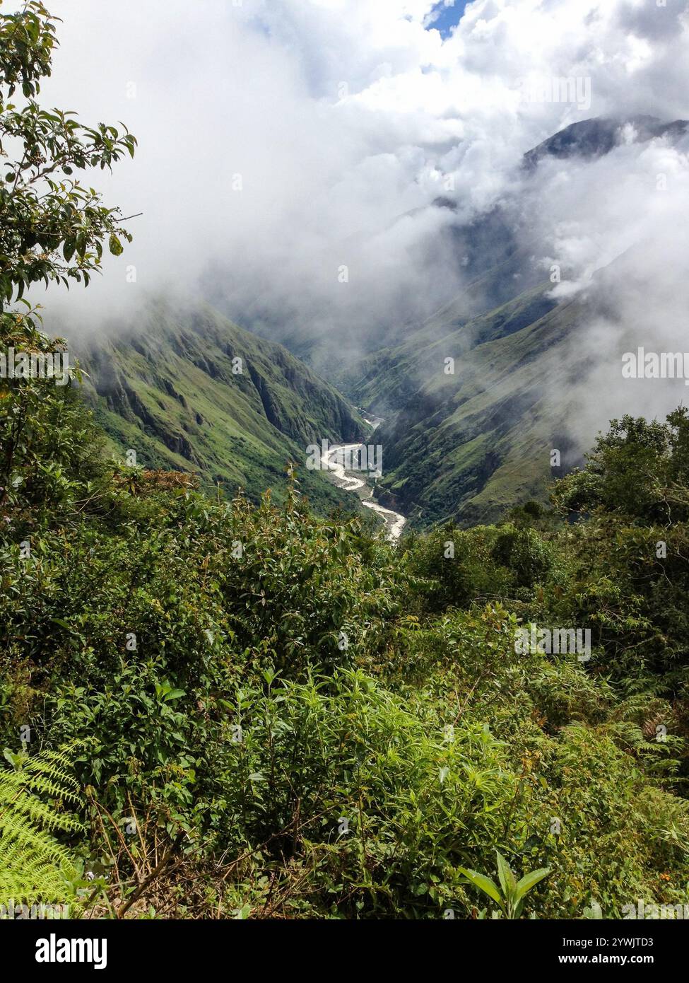 Blick durch den Nebelwald eines steilen Tals mit einem gewundenen Fluss, Anden, Peru, Südamerika Stockfoto