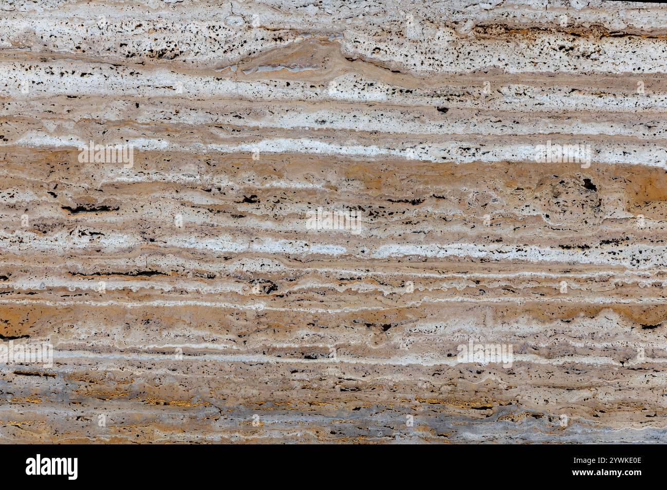 Zufällige, Einzigartige, Natürliche Cannstatter Travertin Textur - Süßwasser Kalkstein Hintergrund Stockfoto