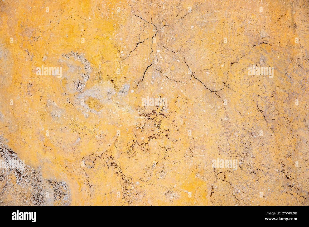 Gerissene Zufällige, Einzigartige, Natürliche Cannstatter Travertine Textur - Süßwasser Kalkstein Hintergrund Stockfoto