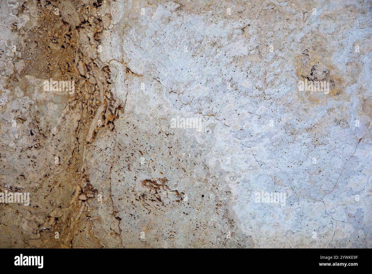 Zufällige, Einzigartige, Natürliche Cannstatter Travertin Textur - Süßwasser Kalkstein Hintergrund Stockfoto