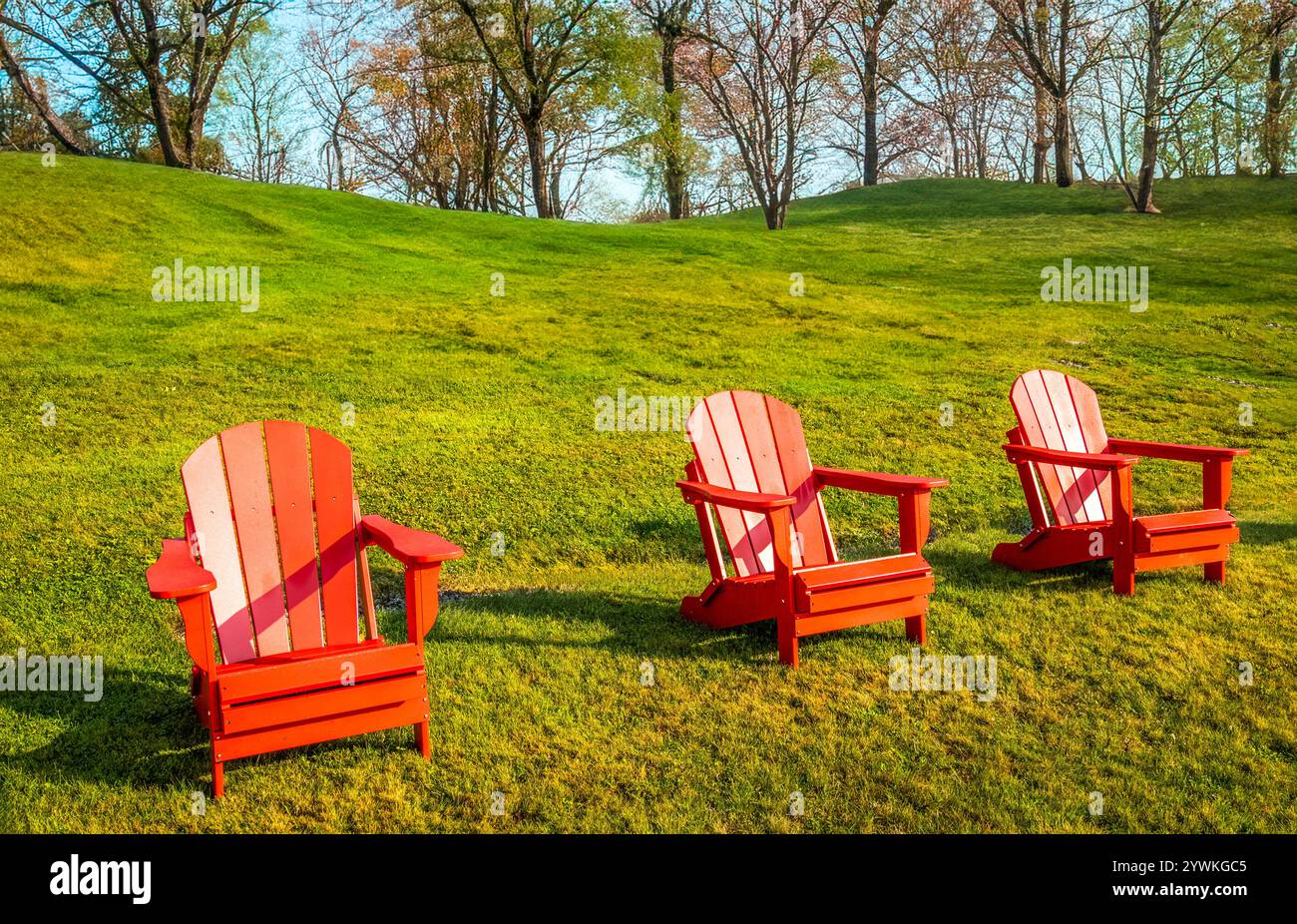 Drei leere rote Adirondack-Stühle, die auf grünem Gras sitzen Stockfoto
